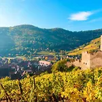 Cosy Centre Apartman Kaysersberg-Vignoble