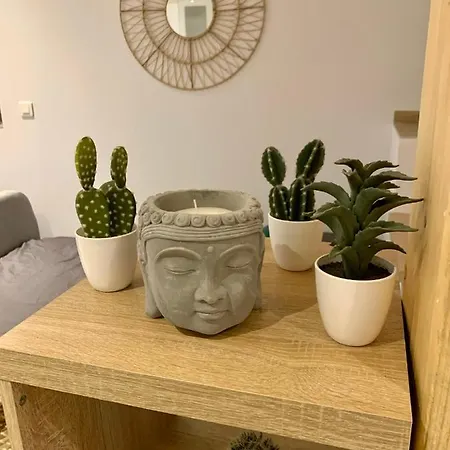 Cosy Centre Apartment