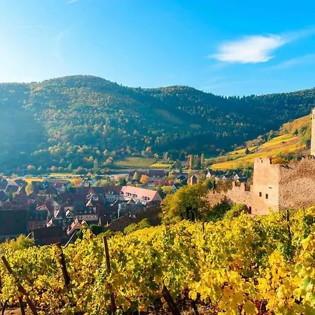 Cosy Centre Appartamento Kaysersberg-Vignoble