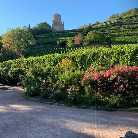 Apartment Cosy Centre Kaysersberg-Vignoble