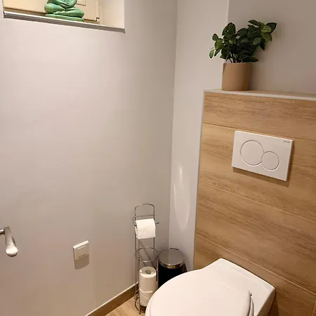 Cosy Centre Apartman *