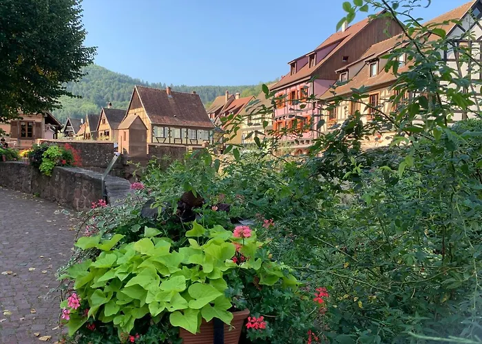 Cosy Centre Lejlighed Kaysersberg-Vignoble
