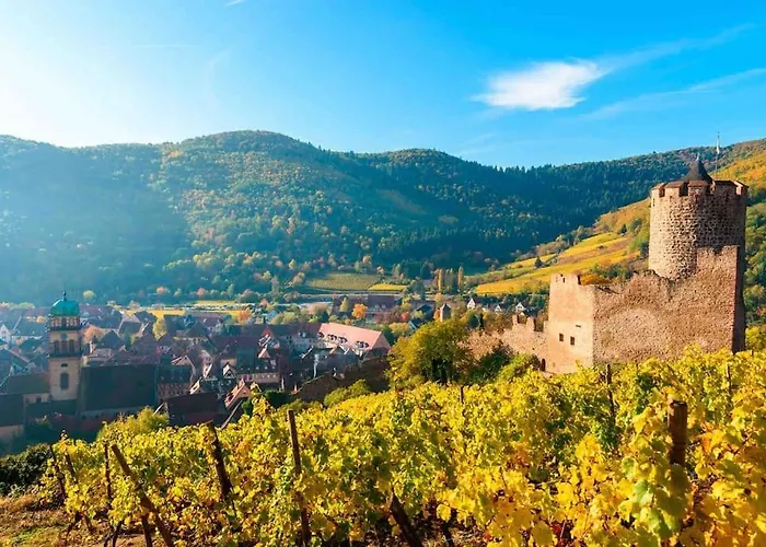 Cosy Centre Lejlighed Kaysersberg-Vignoble