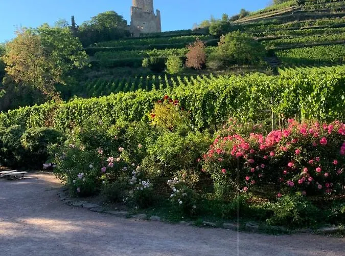 Lejlighed Cosy Centre Kaysersberg-Vignoble